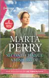 Second Chance Amish Bride and Small-Town Nanny synopsis, comments
