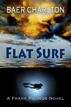 flat surf book cover image