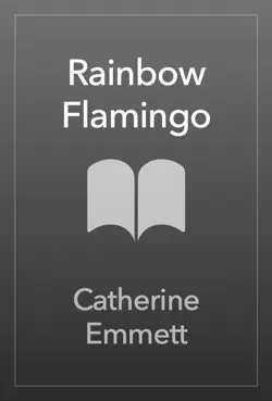 rainbow flamingo book cover image