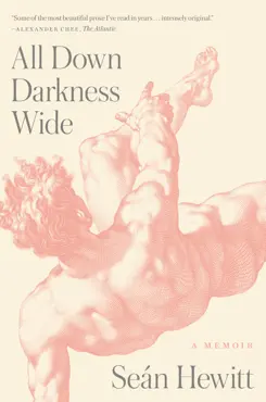 all down darkness wide book cover image