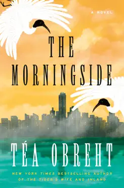 the morningside book cover image