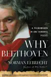 Why Beethoven synopsis, comments
