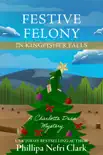Festive Felony in Kingfisher Falls synopsis, comments