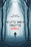 The Little Book of Forgotten Sorrows synopsis, comments