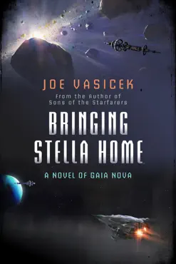 bringing stella home book cover image