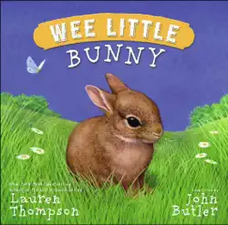 wee little bunny book cover image