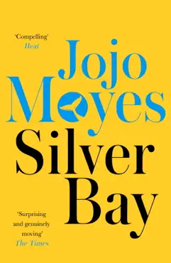 silver bay imagen de la portada del libro