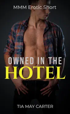owned in the hotel book cover image