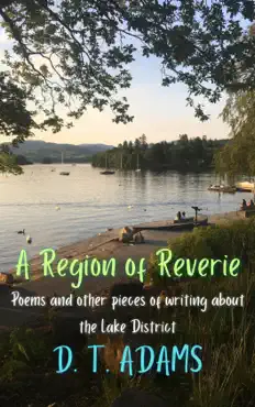 a region of reverie book cover image