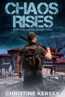 chaos rises book cover image