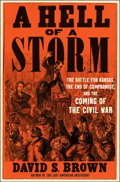a hell of a storm book cover image