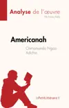 Americanah de Chimamanda Ngozi Adichie (Analyse de l'œuvre) sinopsis y comentarios