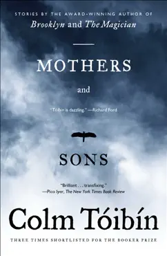 mothers and sons book cover image