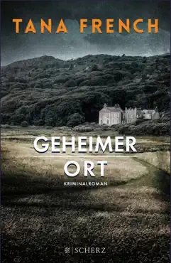 geheimer ort book cover image
