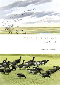 birds of essex imagen de la portada del libro