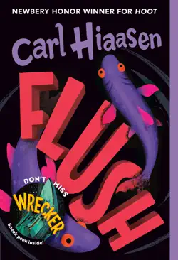 flush book cover image