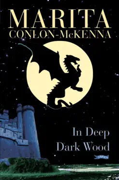 in deep dark wood book cover image