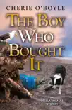 The Boy Who Bought It synopsis, comments