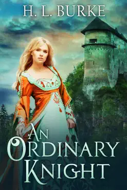 an ordinary knight book cover image