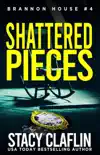 Shattered Pieces synopsis, comments