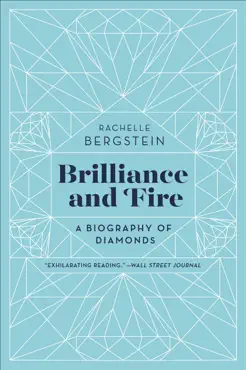 brilliance and fire book cover image