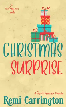 christmas surprise book cover image