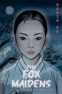 the fox maidens book cover image