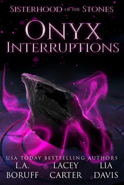onyx interruptions book cover image