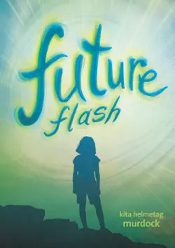future flash book cover image