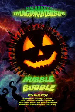 hubble bubble book cover image