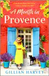 A Month in Provence synopsis, comments