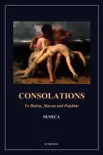 Consolations synopsis, comments