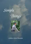 Simple Things synopsis, comments