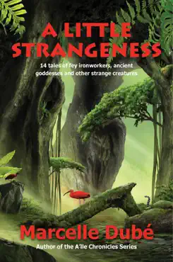 a little strangeness book cover image