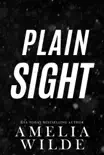 Plain Sight synopsis, comments
