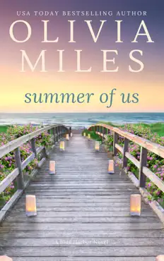 summer of us book cover image