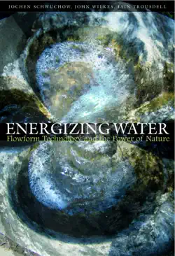energizing water book cover image