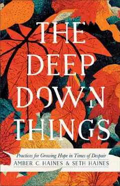 deep down things book cover image