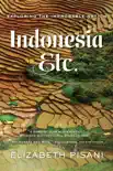 Indonesia, Etc.: Exploring the Improbable Nation e-book