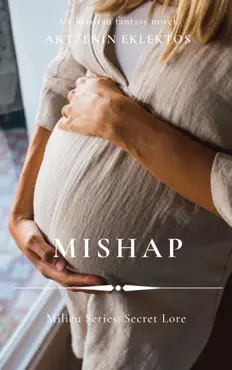 mishap book cover image