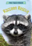 Raccoon Rescue synopsis, comments