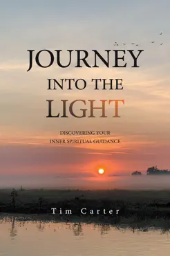 journey into the light book cover image
