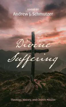 divine suffering book cover image