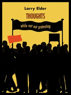 thoughts while not out protesting book cover image