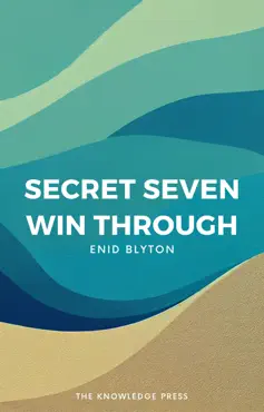 secret seven win through book cover image