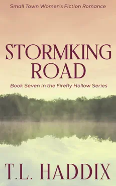 stormking road book cover image