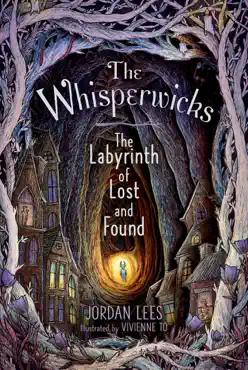 the labyrinth of lost and found book cover image