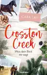 Crosston Creek - Was dein Blick mir sagt synopsis, comments