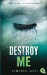 Destroy Me synopsis, comments