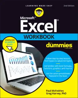 excel workbook for dummies book cover image